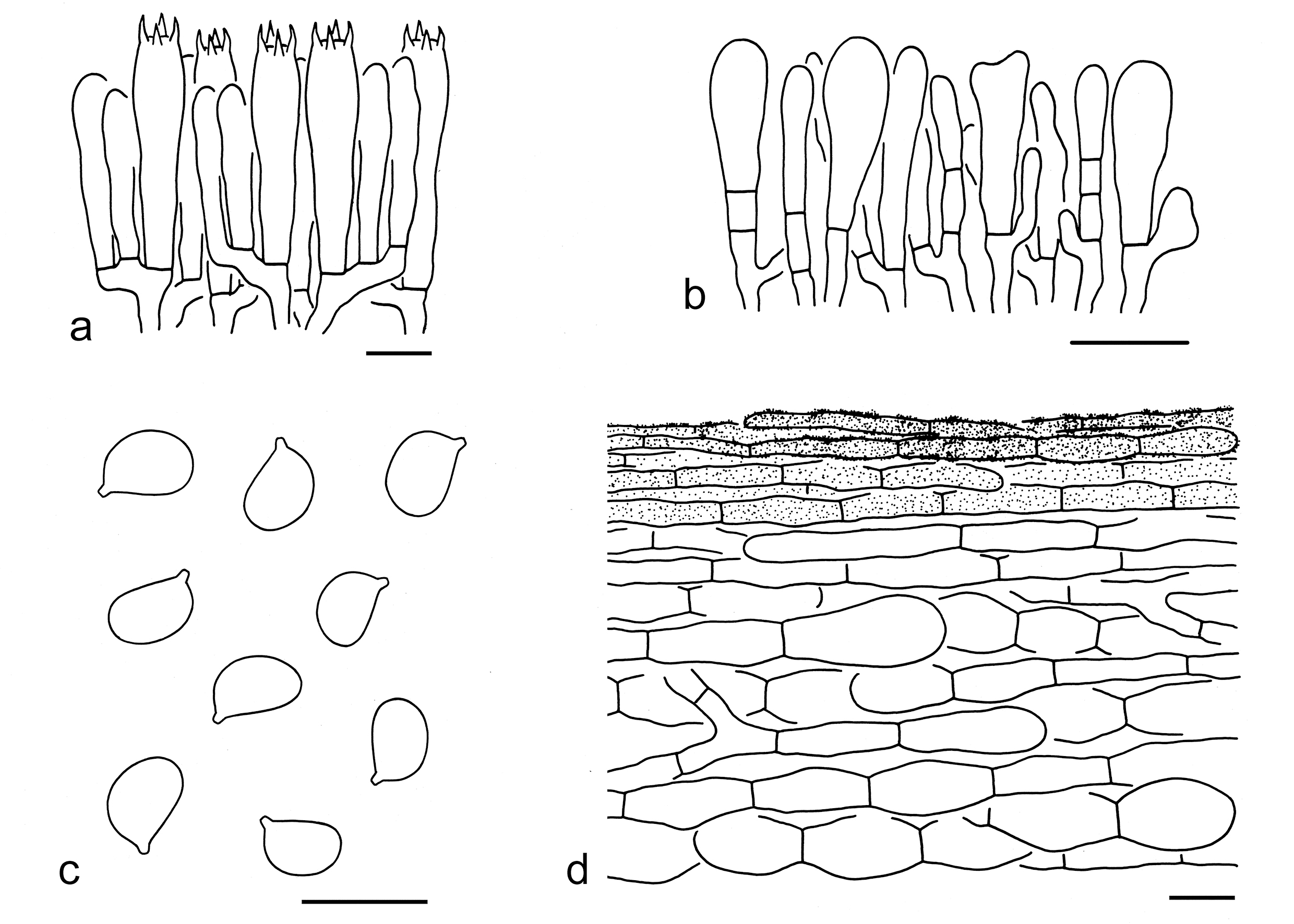 Figure 68